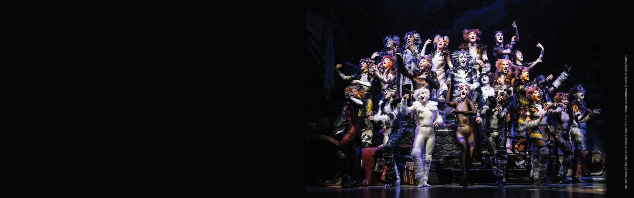 CATS - Broadway San Diego