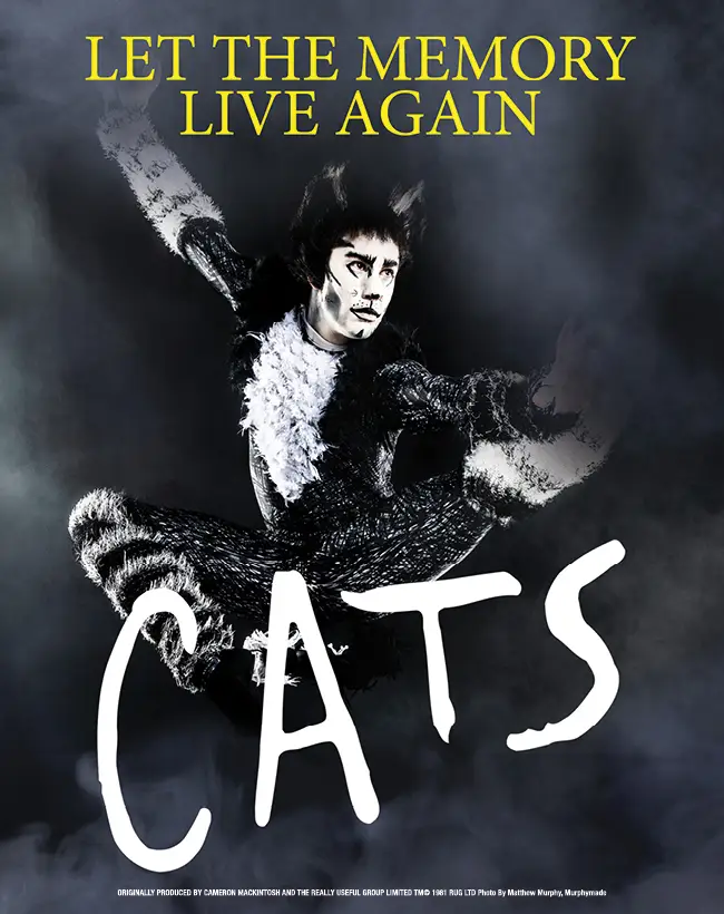 Cats Show Artwork Poster