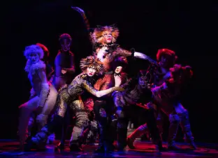 CATS - Broadway San Diego