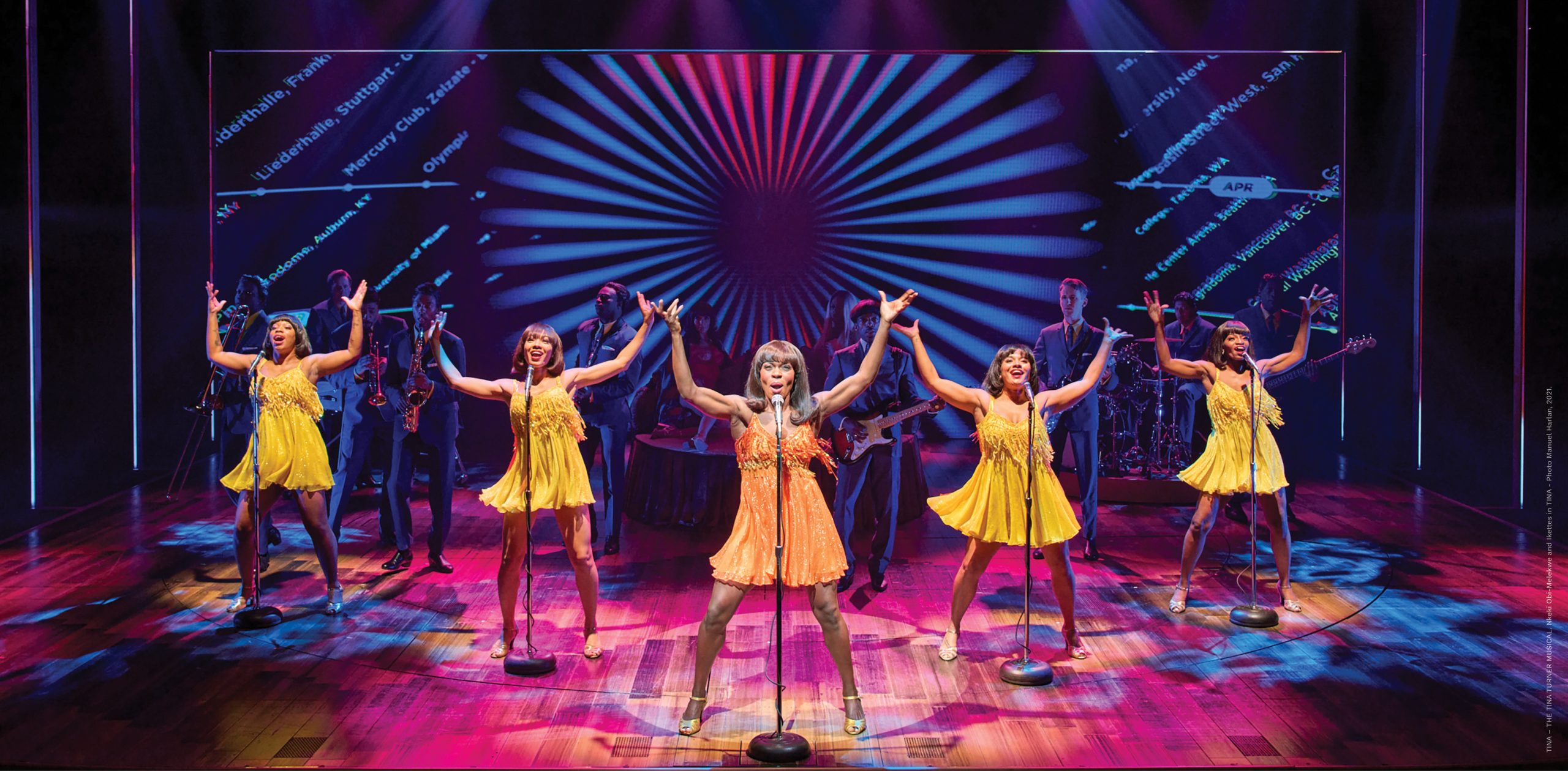 Tina - The Tina Turner Musical