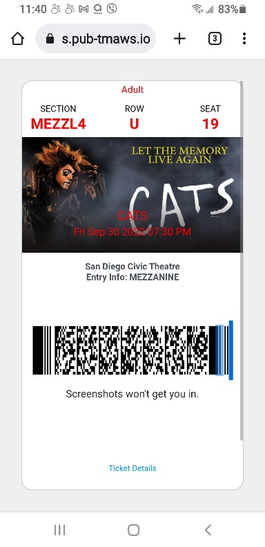 Sample SafeTix Screenshot - Mobile Web Sample for CATS