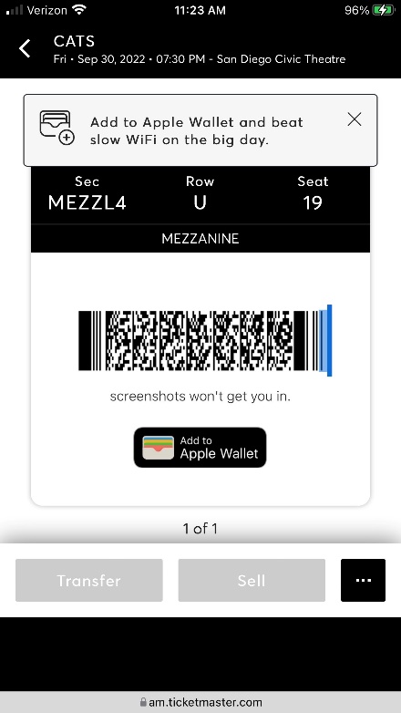 Sample SafeTix Screenshot - Mobile Web Sample Barcode 02